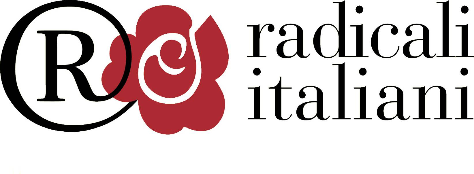 Giulio Manfredi (Radicali): “Poniamo un problema di legalità, parola sconosciuta a Casapound”