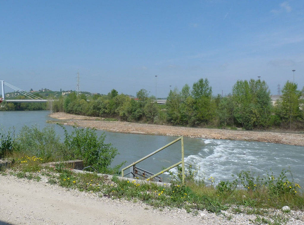 Coldiretti Cuneo segnala la pulizia delle sponde del fiume Tanaro