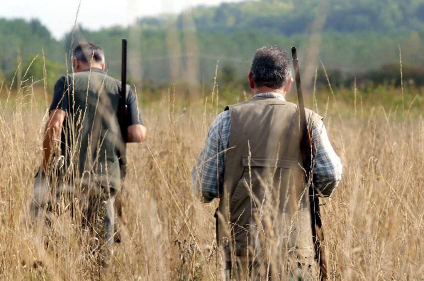 Caccia al cinghiale: nuove disposizioni dalla Regione