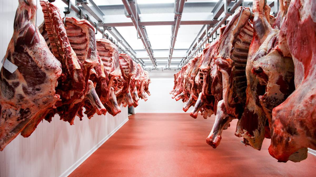 Coldiretti Cuneo: “Cresce consumo di carne, diciamo no a quella ottenuta in laboratorio”