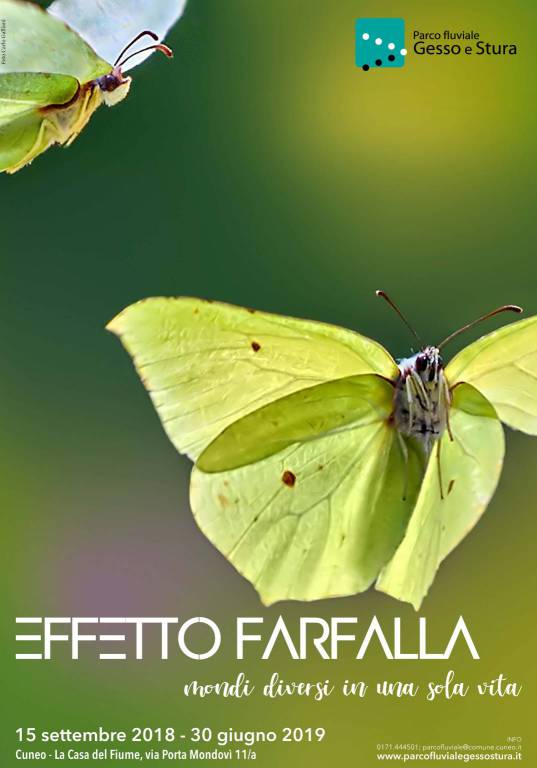 Arriva alla Casa del Fiume du Cuneo la mostra “Effetto Farfalla”