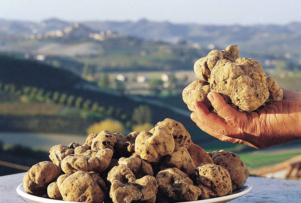 “Tra terra e luna”, torna il fascino della Fiera Internazionale del Tartufo Bianco d’Alba