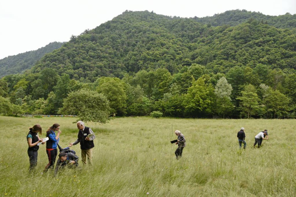 A Chiusa di pesio la mostra fotografica “Prati da sfalcio: uomini e impollinatori”