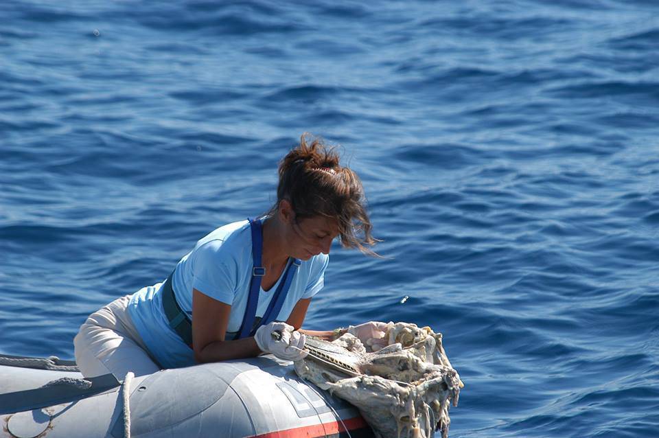 Plastica nel Mar Ligure dopo la mareggiata, “A rischio tutta la catena alimentare”