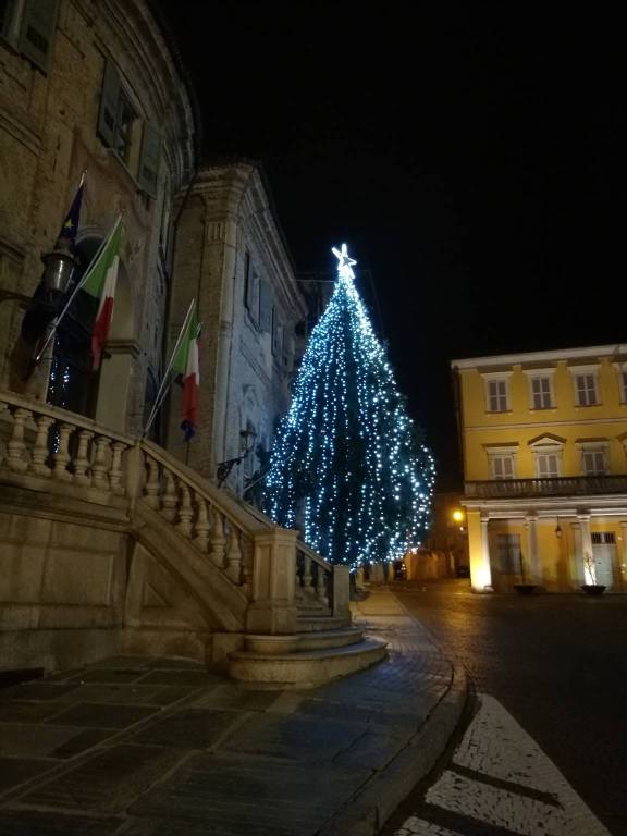 Bra, due alberi di Natale illuminati in città