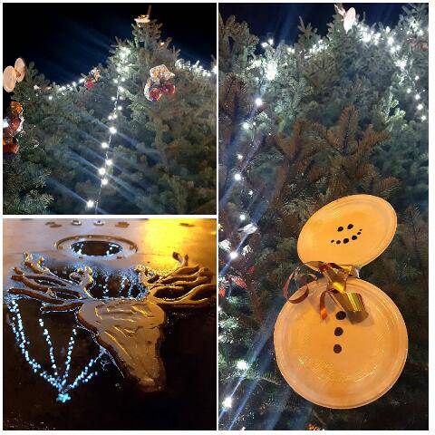 Cervere, anche in questo Natale l’albero in piazza illumina i nuovi nati e prelude al presepe vivente