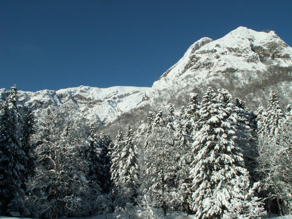 Cuneo, l’esperienza della Montagna Terapia a “La montagna per tutti”