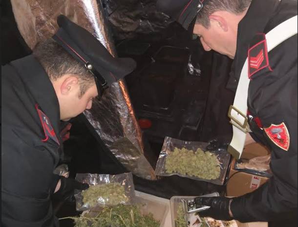 carabinieri borgo san dalmazzo marijuana