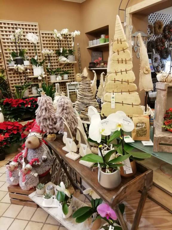 Natale e dintorni: quali fiori regalare per fare gli auguri