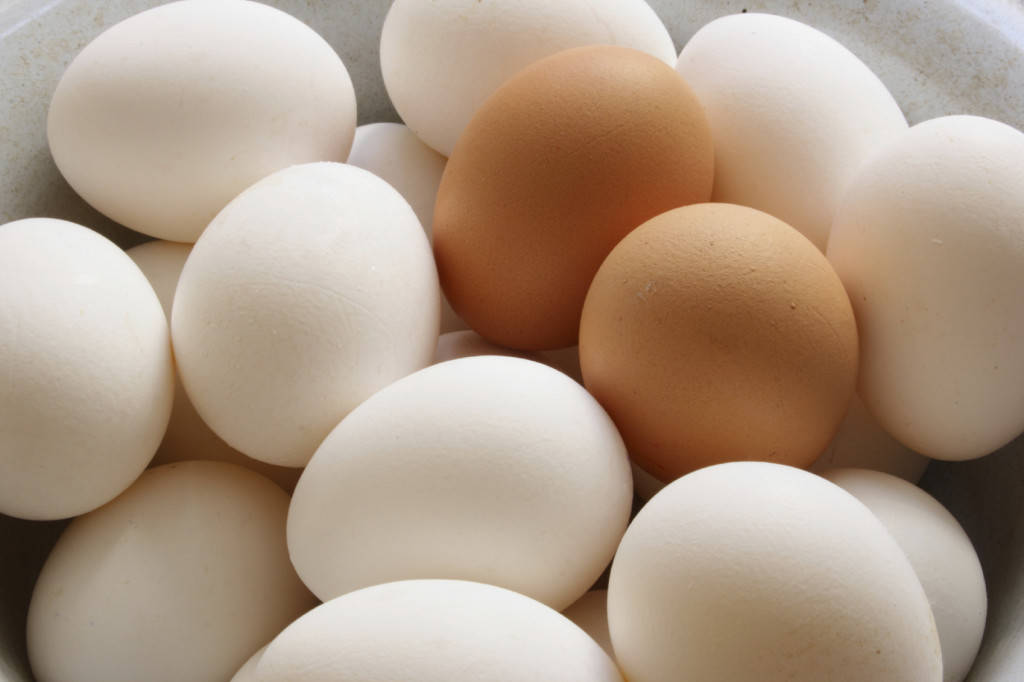 Coldiretti Cuneo “SOS per i prezzi delle uova che risentono dei rincari delle materie prime”