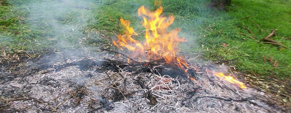 L’amministrazione di Rifreddo chiede alla Regione di rivedere le regole sulla bruciatura degli scarti vegetali