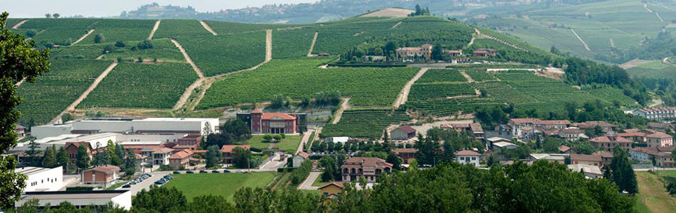 Giordano Vini di Valle Talloria, incontro in Regione