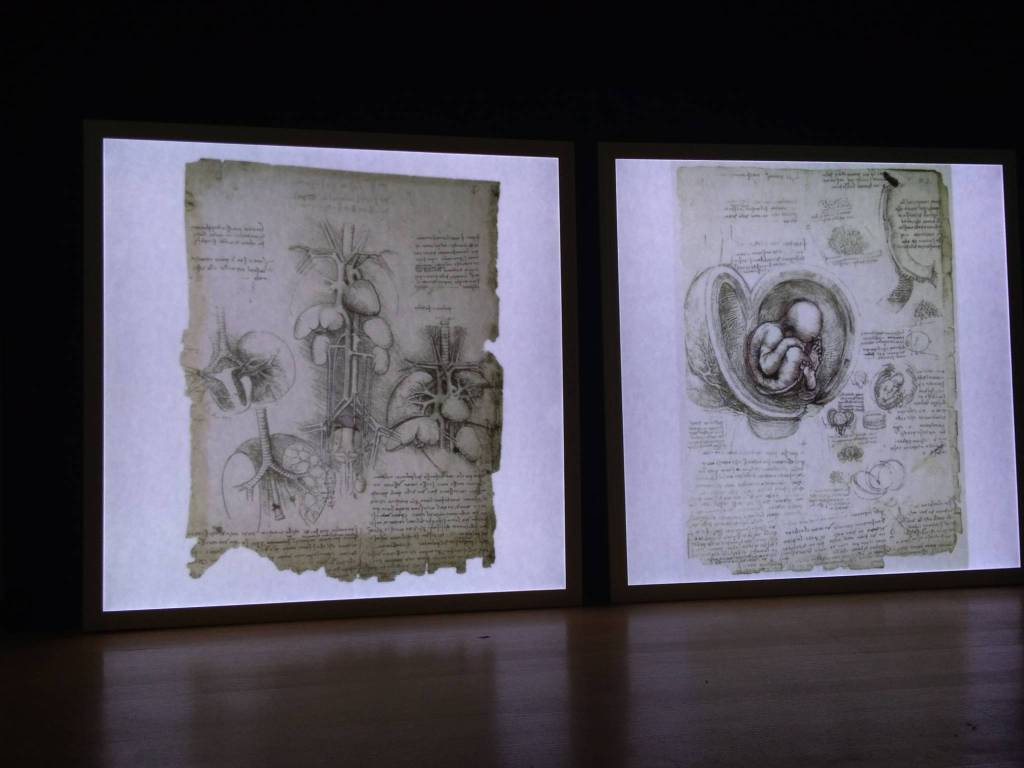 Leonardo Da Vinci, una mostra a Palazzo Mathis di Bra