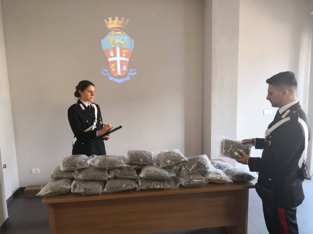 Borgo San Dalmazzo, bloccata “staffetta di droga”: sequestrati 8 chili di marijuana