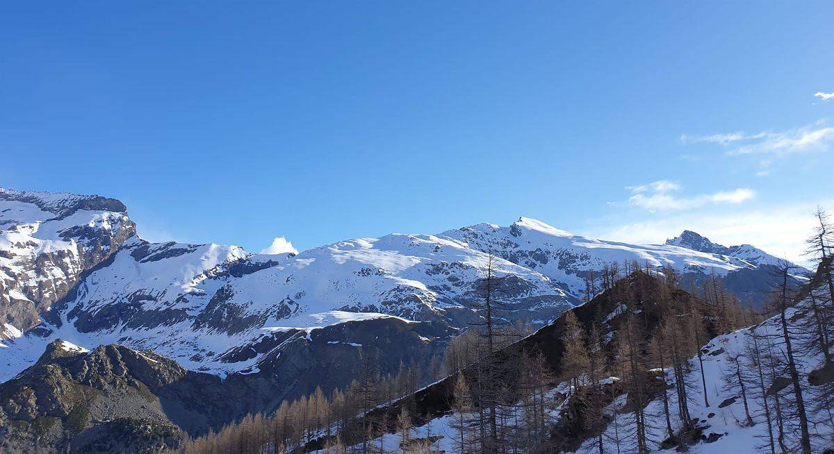 Rischia di tardare la salita agli alpeggi più alti in alcune zone della provincia di Cuneo, Confagricoltura chiederà alla Regione norme più flessibili