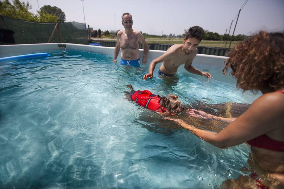 A Carrù c’è la piscina per i cani “A pelo d’acqua”