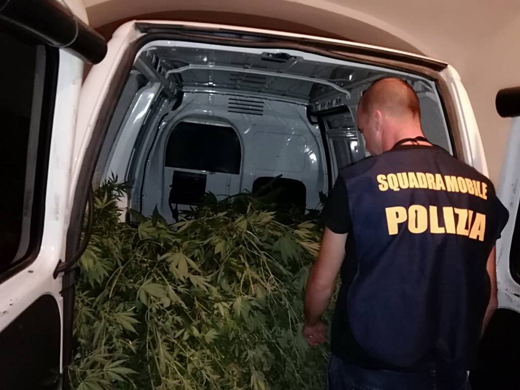 Cuneo, due arresti per traffico di sostanze stupefacenti