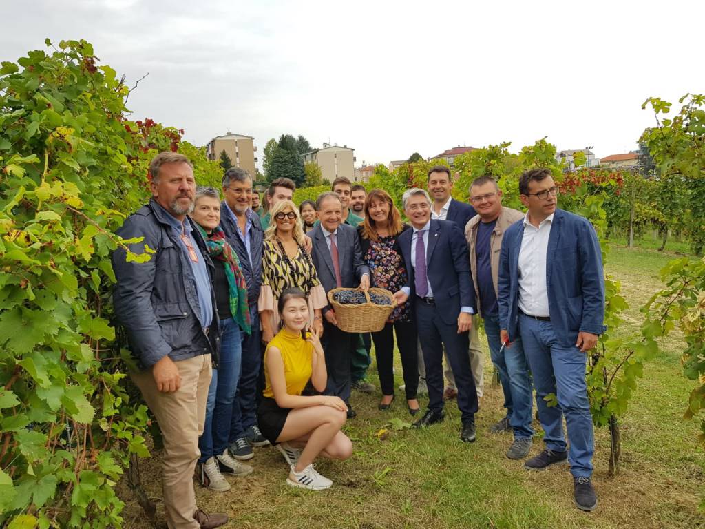alba del vino 2019 abellonio bo