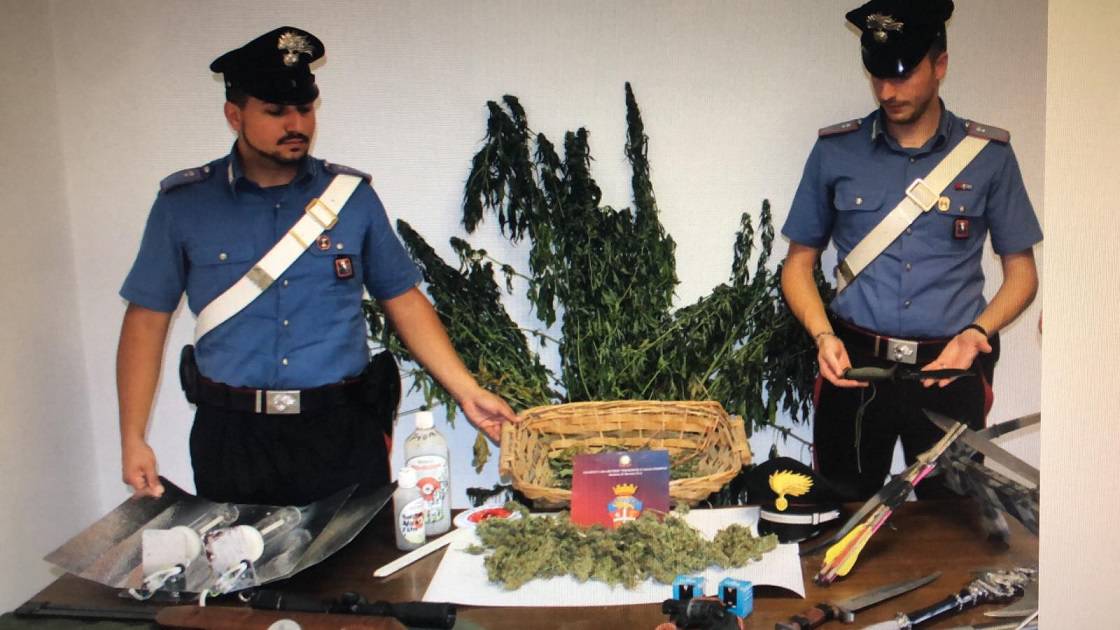 Moretta, coltivava cannabis in casa: arrestato 54enne incensurato