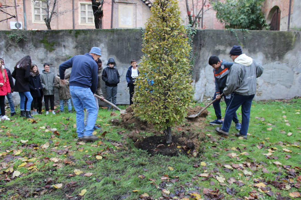 Festa dell’Albero a Bra: 20 nuovi alberi nelle scuole cittadine
