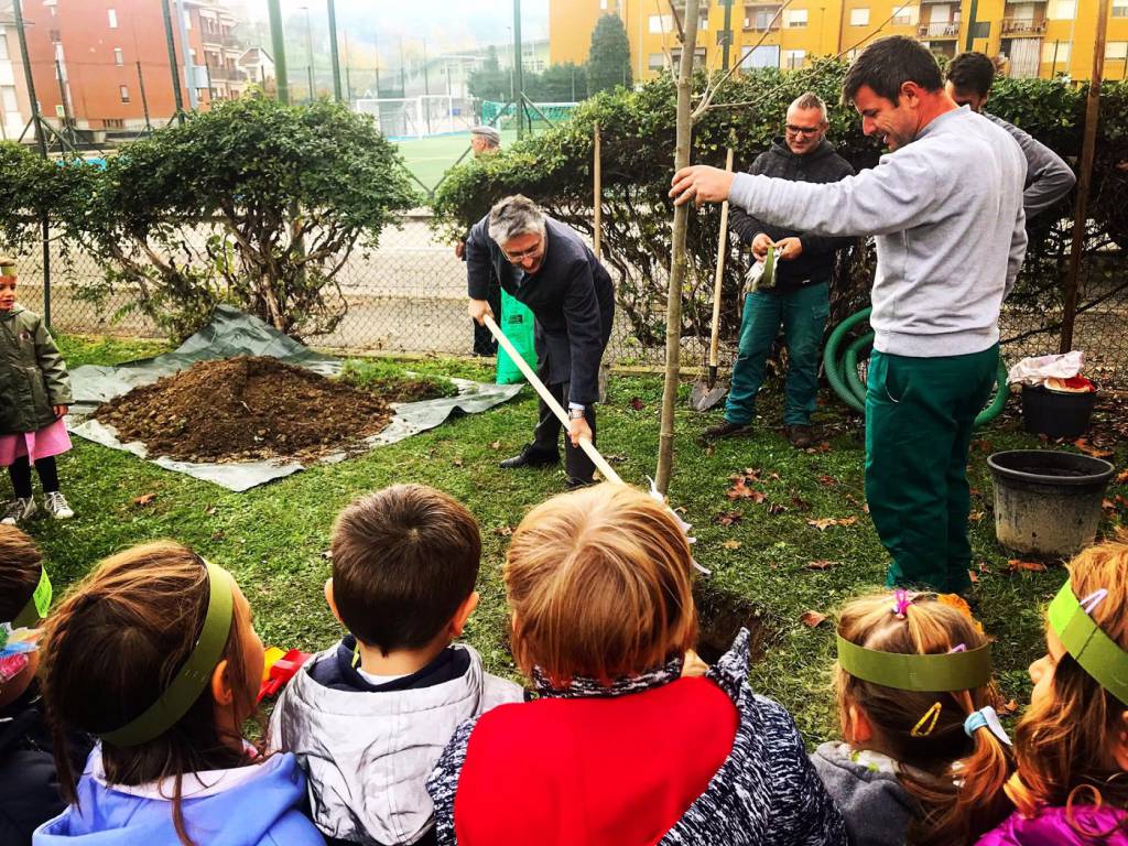 Alba: un nuovo albero donato dal Comune alla Scuola “Pollicino” per la Festa degli Alberi
