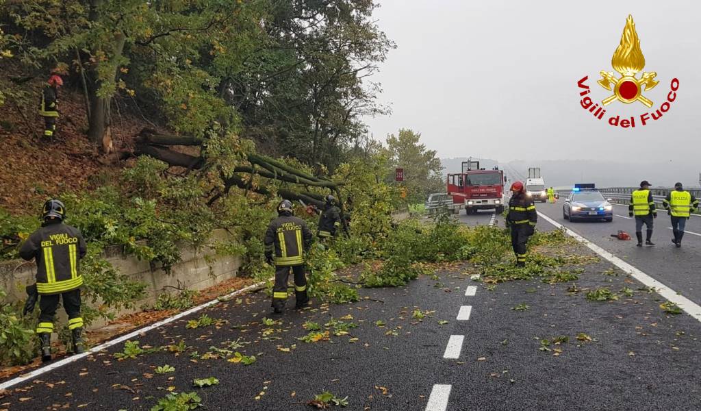Fossano, albero cade sull’A6 Torino-Savona
