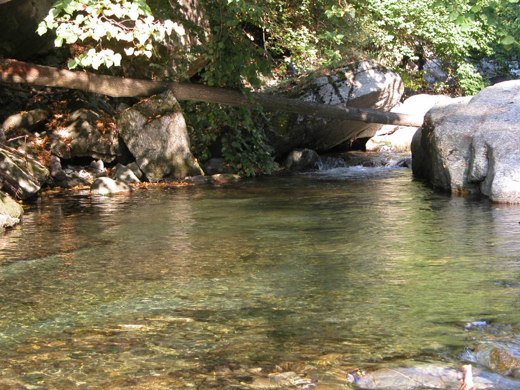 Coldiretti Cuneo chiede più investimenti per il mantenimento dei fiumi