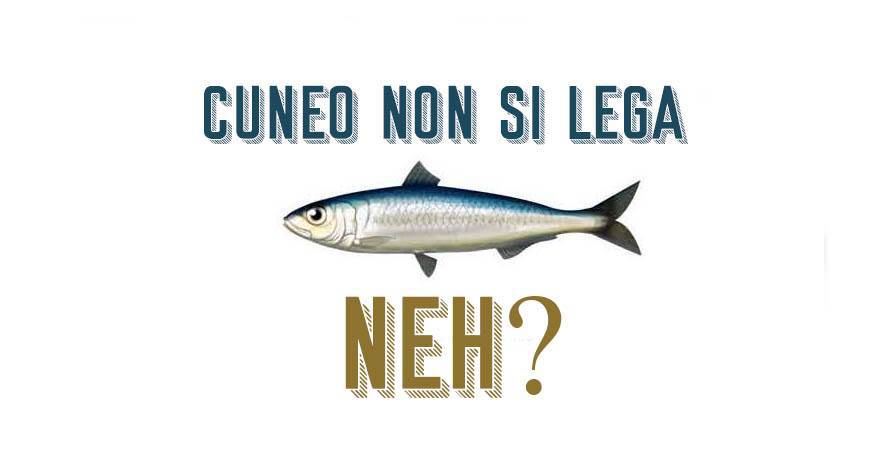 6.000 sardine Cuneo, oggi il flash mob