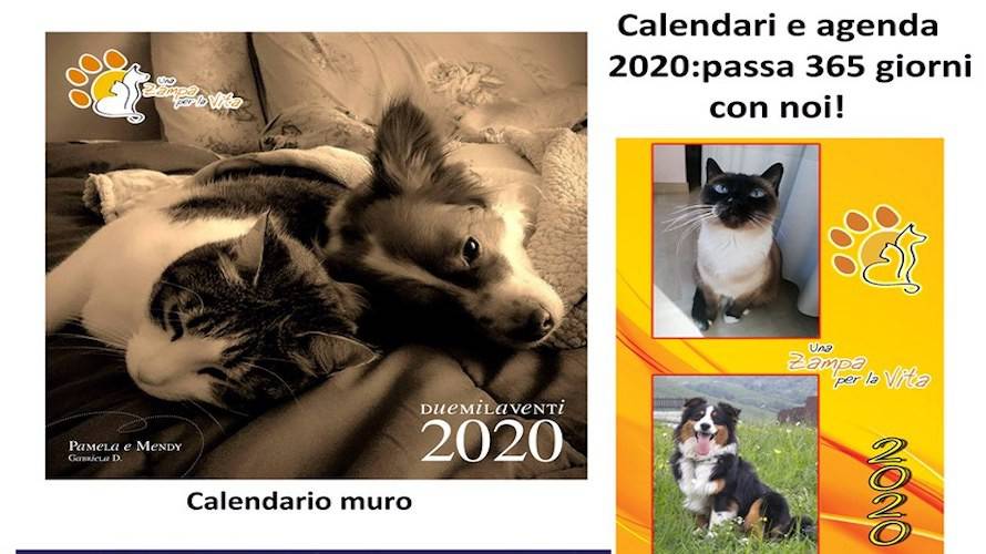 Tanti i calendari 2020 tutti cuneesi
