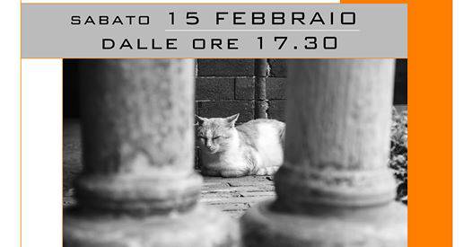 La bovesana Francesca Barbero celebra i gatti dell’Abbazia di Staffarda