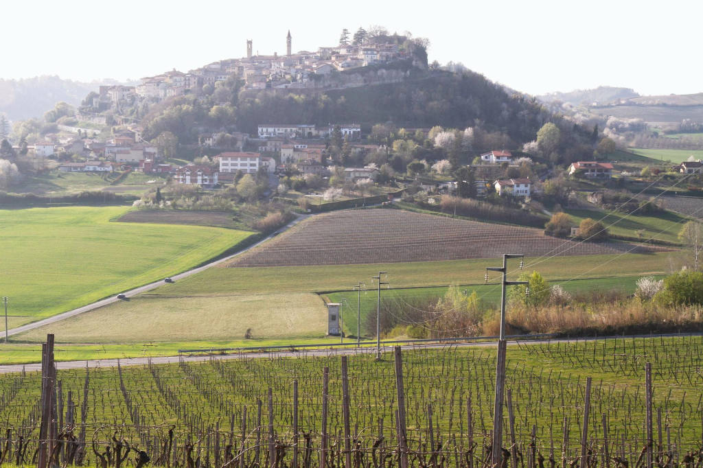 Golosaria monferrato:  week-end di gusto tra “le colline del vino”