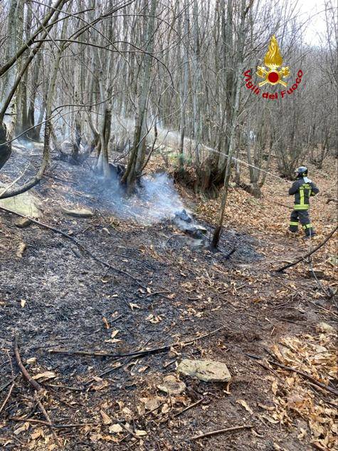 Incendio boschivo a Envie: Vigili del Fuoco e AIB al lavoro