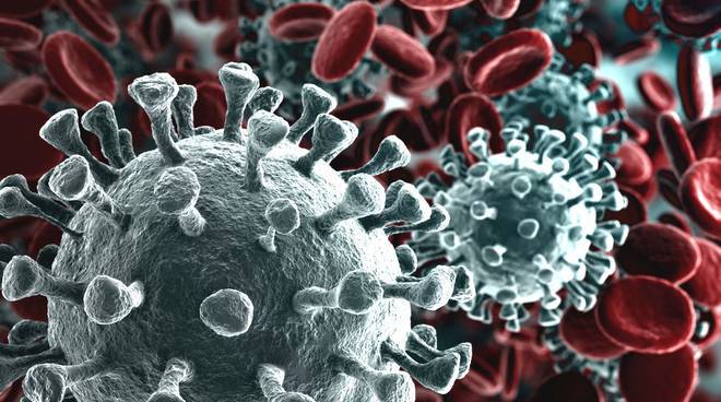 Coronavirus, 457 contagi in provincia di Cuneo: oggi è guarita una 45enne cuneese