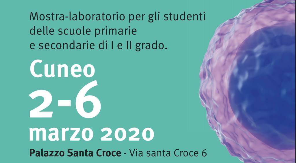 A Cuneo la mostra-laboratorio “Io vivo sano prevenzione e vaccini” di Fondazione Umberto Veronesi