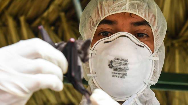 Coronavirus, altri 46 decessi in Piemonte: i contagi salgono a 6024