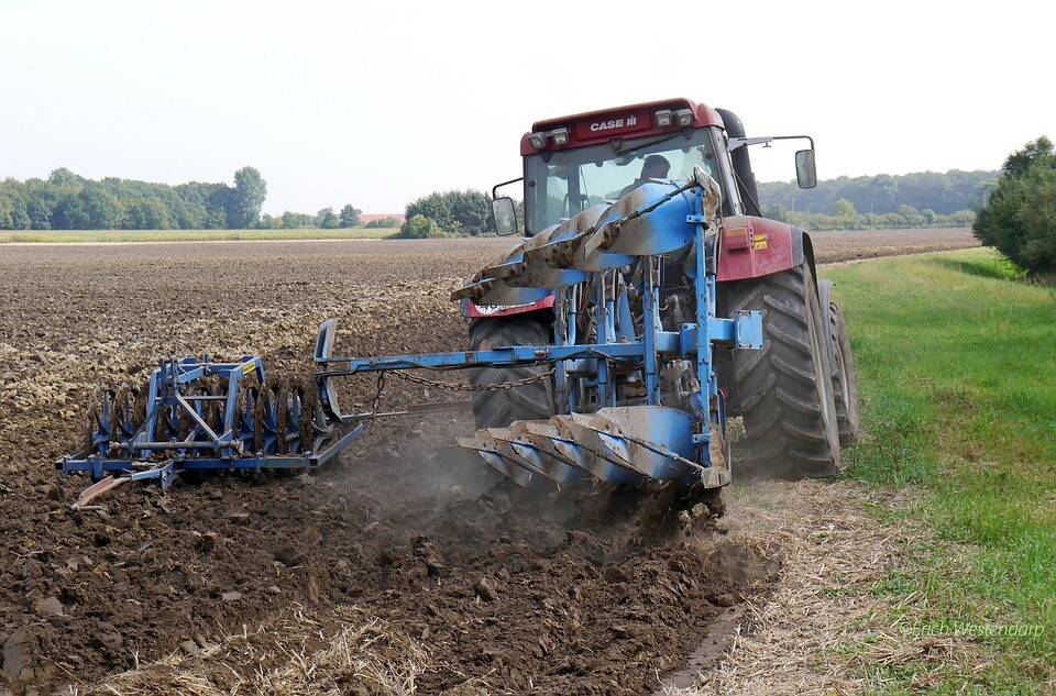 Confagricoltura Piemonte chiede di sostenere i giovani agricoltori