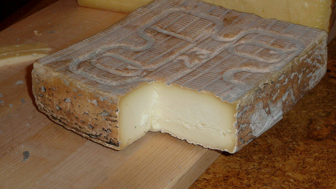 “Taleggio DOP a rischio listeria”, Coop richiama dal mercato due lotti di formaggio