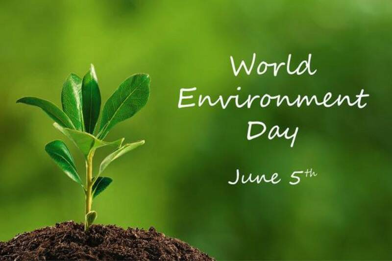 Oggi è la Giornata mondiale dell’Ambiente