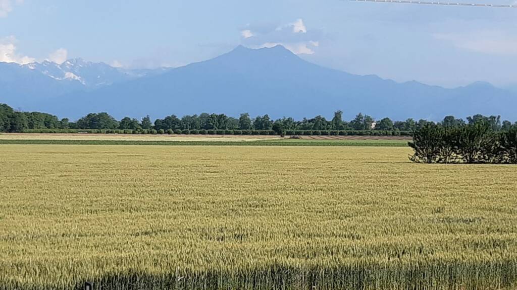 “L’Italia è pronta a produrre settantacinque milioni di quintali di mais e grano in più”