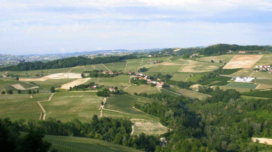 Turismo 2020, -58% arrivi nel comprensorio Langhe-Monferrato-Roero