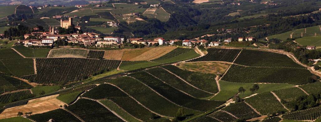La cuneese Terre del Barolo è la miglior cooperativa vitivinicola italiana