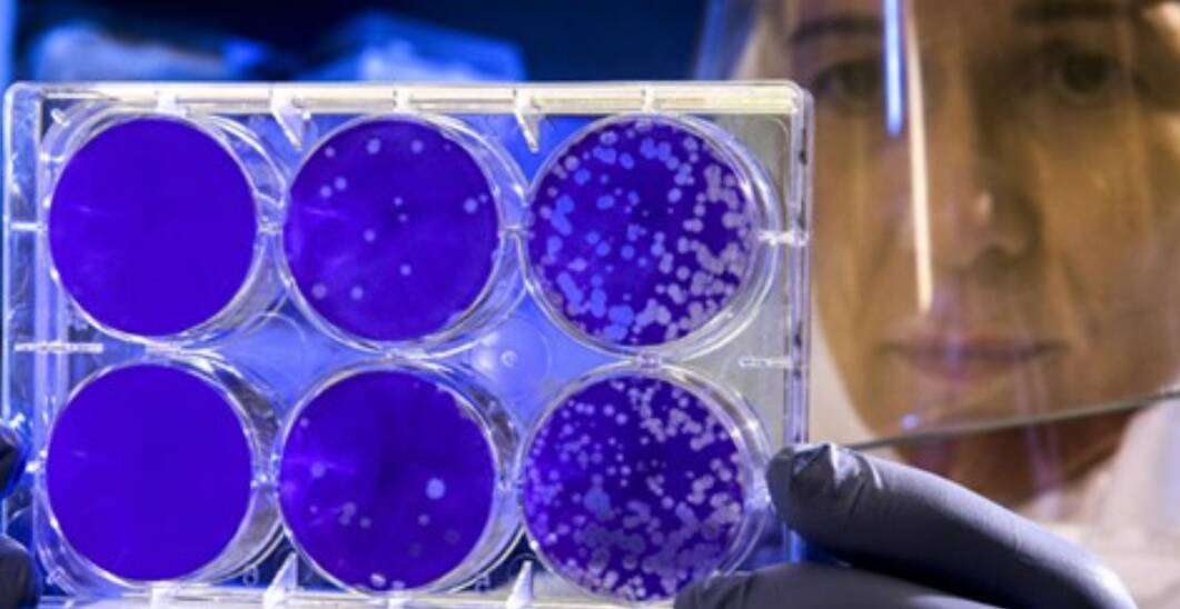 Coronavirus, in Piemonte in arrivo 1 milione di test antigenici. Sperimentazioni sul test salivare