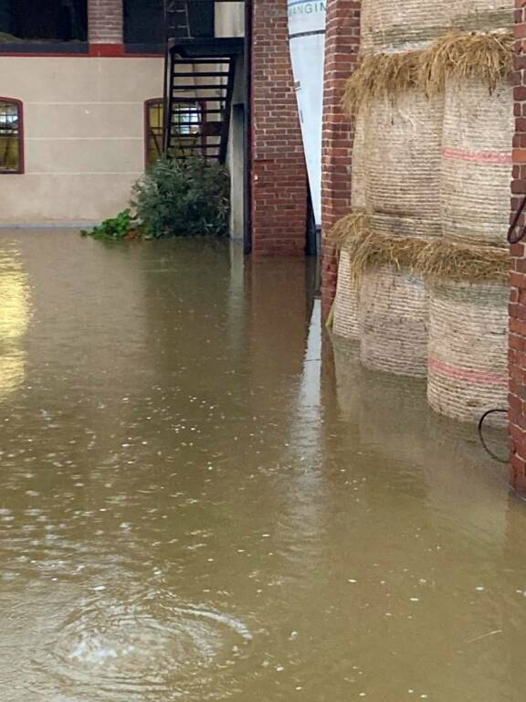 Bomba d’acqua a Saluzzo: danni per 50 aziende zootecniche