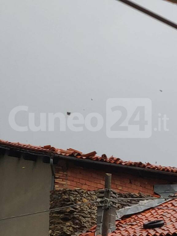 Allerta meteo, la situazione in val Tanaro: volano le tegole a Casario (Priola)