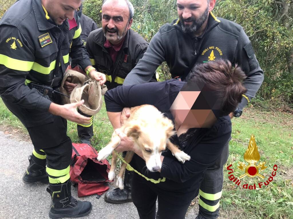 Cane cade in una gola a Rocchetta Belbo: salvato dai vigili del fuoco