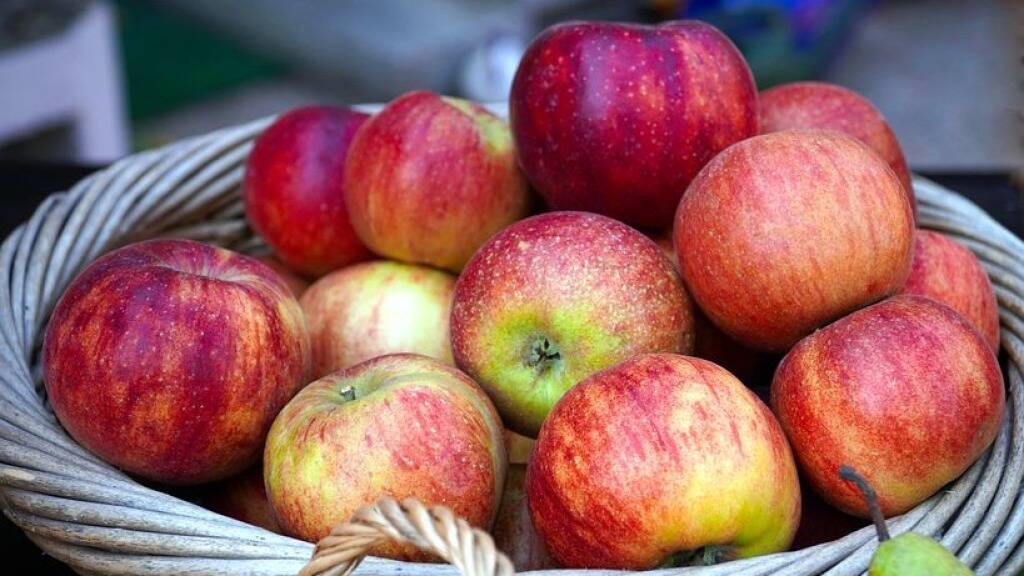 Cuneo, vendita delle mele dell’azienda agraria sperimentale