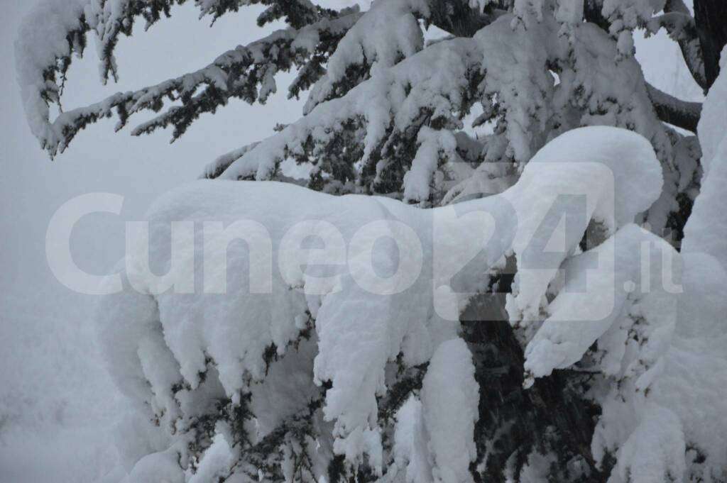 Neve Vicoforte 1°-2 dicembre 2020