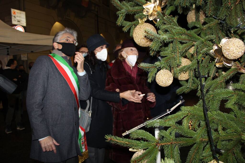 Alba, acceso l’albero di Natale Ferrero