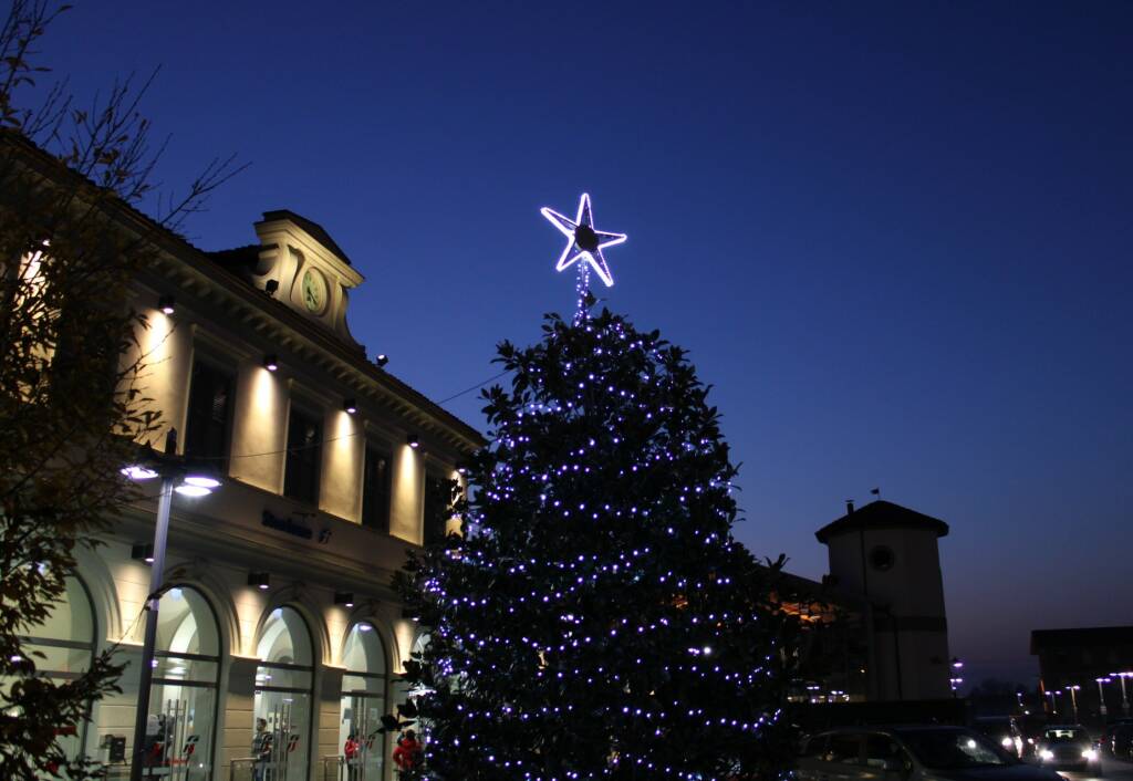Brilla in piazza Roma l’albero di Natale di Bra