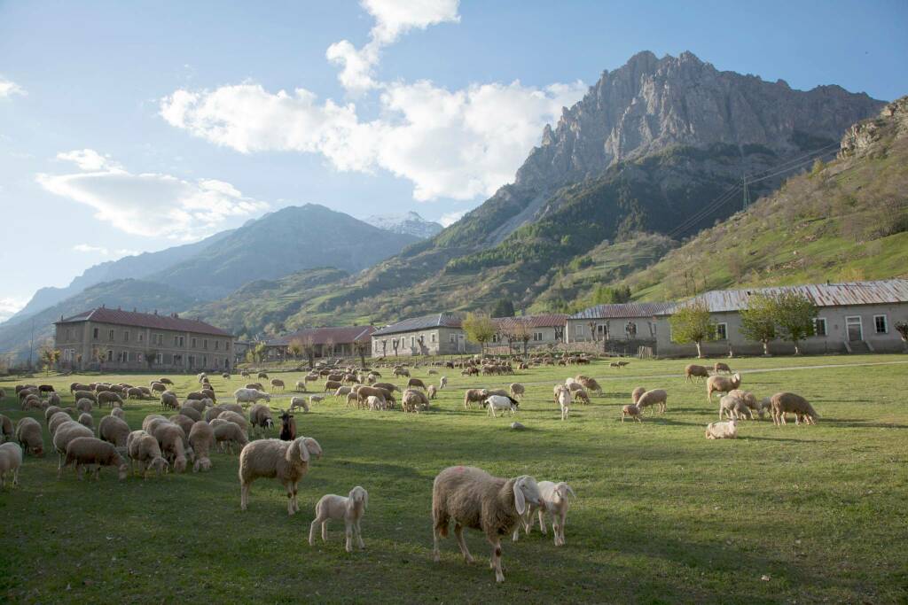 Nasce da sette aziende della Valle Stura “Montagnam”, il marchio di prodotti agricoli di montagna